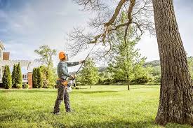 Best Lawn Disease Treatment  in Colton, CA