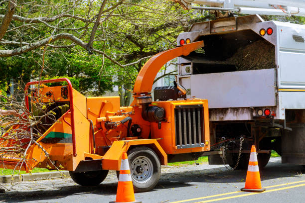 Best Utility Line Clearance  in Colton, CA